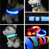 Buy 1 Get 1! - Safety Glowing Dog Collars and Leashes By Pet Lovers Club