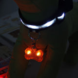 Dog ID Tag With LED By Pet Lovers Club