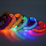 Safety Glowing Pet Collar With LED By Project Pet Lovers Club