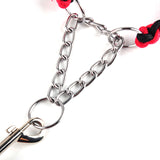 Big Dog Plaited Leash And Collar Set