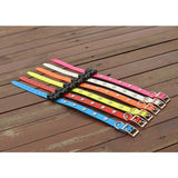 Premium Series - Multi LED Safety Pet Collar Version 1