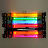 Buy 1 Get 1! - Safety Glowing Dog Collars and Leashes By Pet Lovers Club