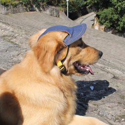 Max' Anti Heat Jean Swag Cap For Dogs