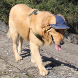 Max' Anti Heat Jean Swag Cap For Dogs