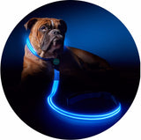 Safety Pet Leash With LED By I Love Dogs Society