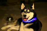 Safety 2x LED Dog Collar + Leash + Tag Ultimate Complete Set