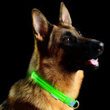 Safety 2x LED Dog Collar + Leash + Tag Ultimate Complete Set