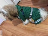 Cute Dog Hoodie Raincoat