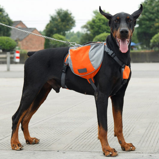 Dog Harness Vest - Backpack Style