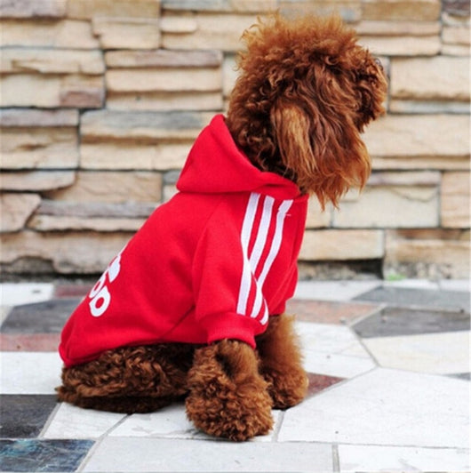 Adidogs Hoodie Collection